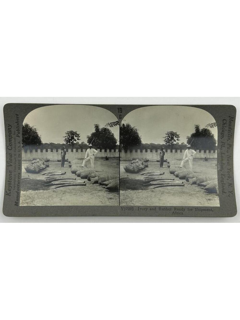 Antique Keystone Stereoview V17095 Tusks & Rubber Ready for Shipment Africa L-2